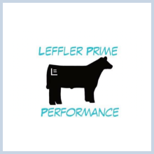 Leffler Prime Performance