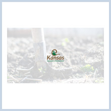 compost, compost tea, vermiculture, worm castings, arbor chips, gardening