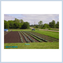 Shepherd's Valley Farm Field