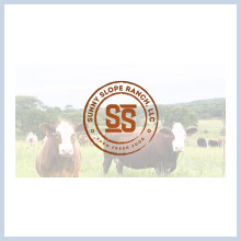 Cattle with sunny slope logo