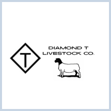 Diamond T Livestock Co. 