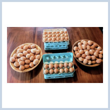 XL- Jumbo eggs 