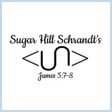 SHS Logo & Brand
