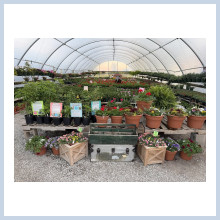 greenhouse