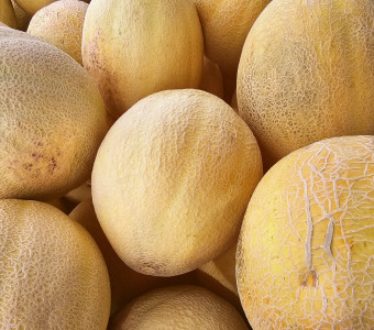 Melons