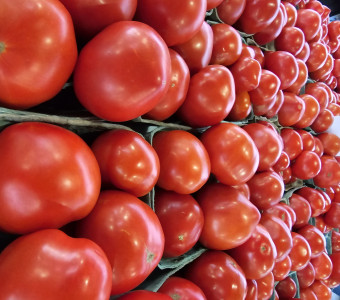 Tomatoes