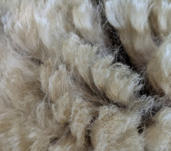 Valais Blacknose Wool