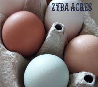 FarmFreshEggs