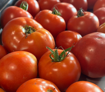 Did we mention our tomatoes are Amazing!