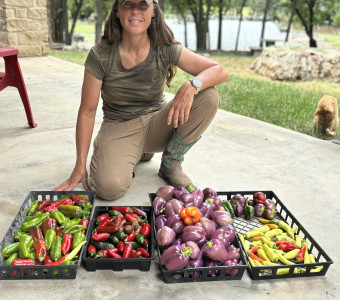 Small town soil, but big flavor/  Our peppers are one of our favorites to grow.