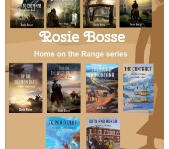 Some of the novel covers. One to two novels are released each year. As of November of 2025, 12 novels are available.