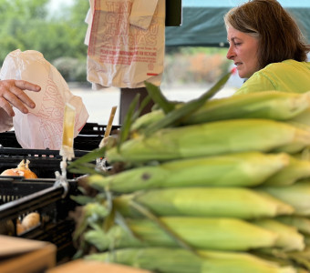 Ears of corn on the counter at Gaeddert Farms Sweet Corn stand in Wichita