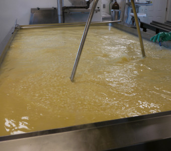 vat of curds and whey