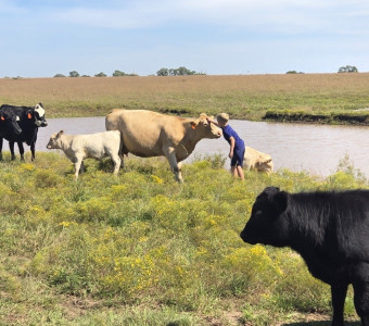 Family Ranchin'
