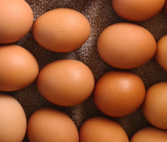 Farm Fresh Eggs