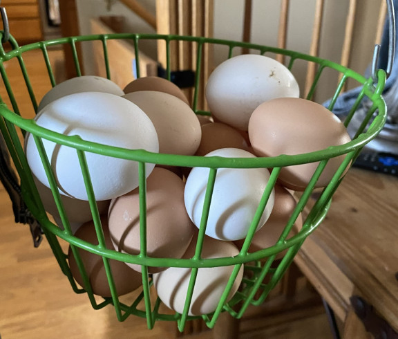Egg basket