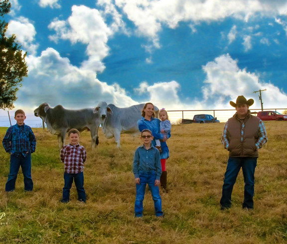 Mcfall Farms