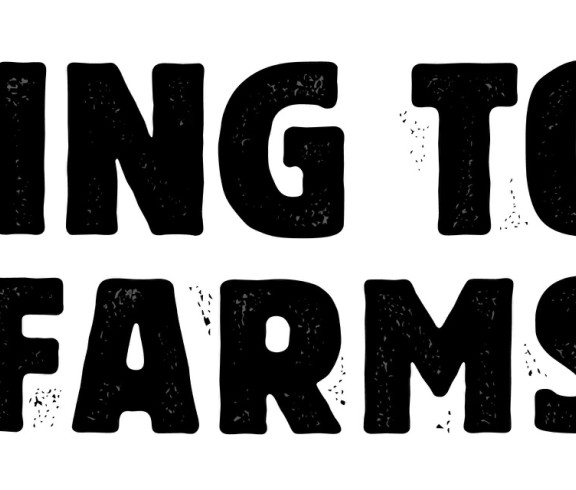 Flying Toad Farms 