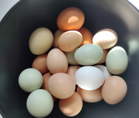 18 ct fresh eggs 4.00