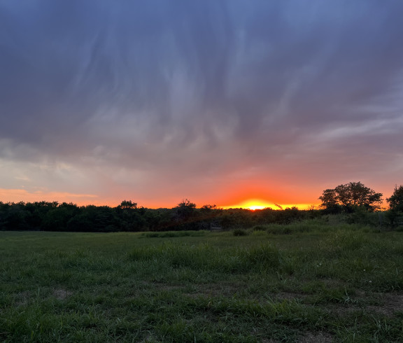 Sunset on the farm