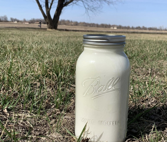 Pictured is a half gallon of our fresh goats milk!