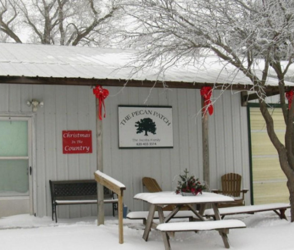 Pecan patch in Oxford