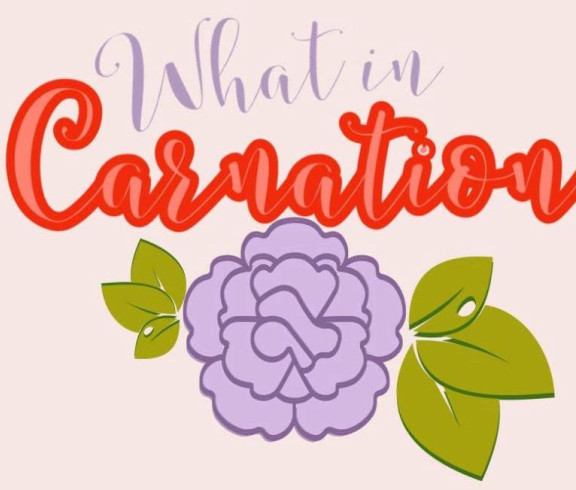 what in carnation