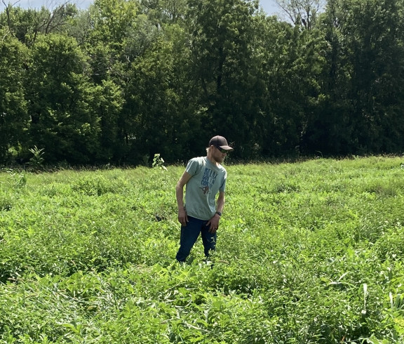 produce, tomatoes, watermelon, pumpkins, mums