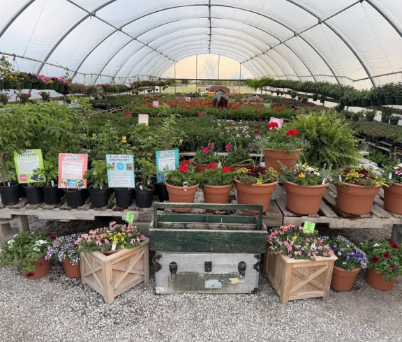 greenhouse