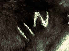 Neely Livestock