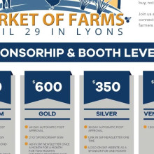 Sponsorship Flyer
