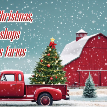 Shopping for Kansas christmas gifts