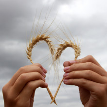 thanking farmers and ranchers