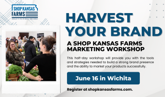 marketing workshop for direct to consumer businesses