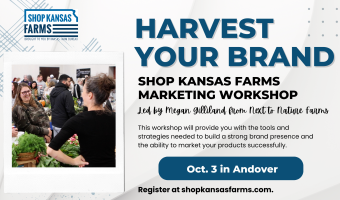 SKF marketing workshop